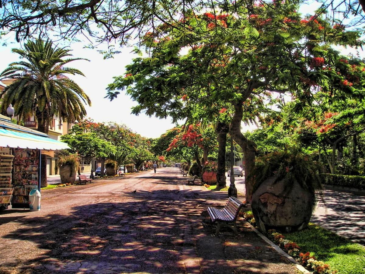 Flores & Campos Guest House Santa Cruz de Tenerife Exterior foto